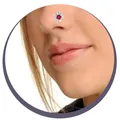 CATEGORY_NOSE_PIN__Peenzone