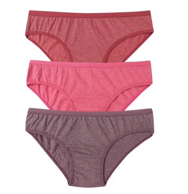 Buy Elina Women's Pink B-Cup Cotton Net Full Coverage Bra.(Set of
