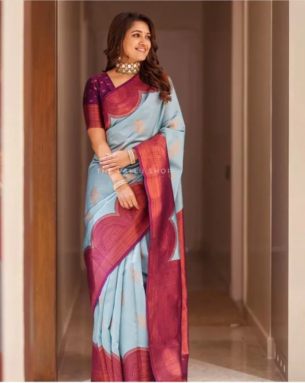 New fancy banarasi saree with fancy blouse piece Ferra - Zeo Fashion