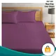 Purple__Bedsheet Adda