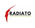 logo__Radiato Embedded System