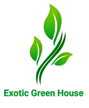 logo__Exotic Green House